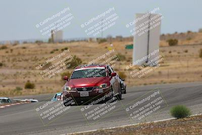 media/May-03-2025-Lucky Dog Racing (Sat) [[206de64b9d]]/Turn 6 (150pm-230pm)/